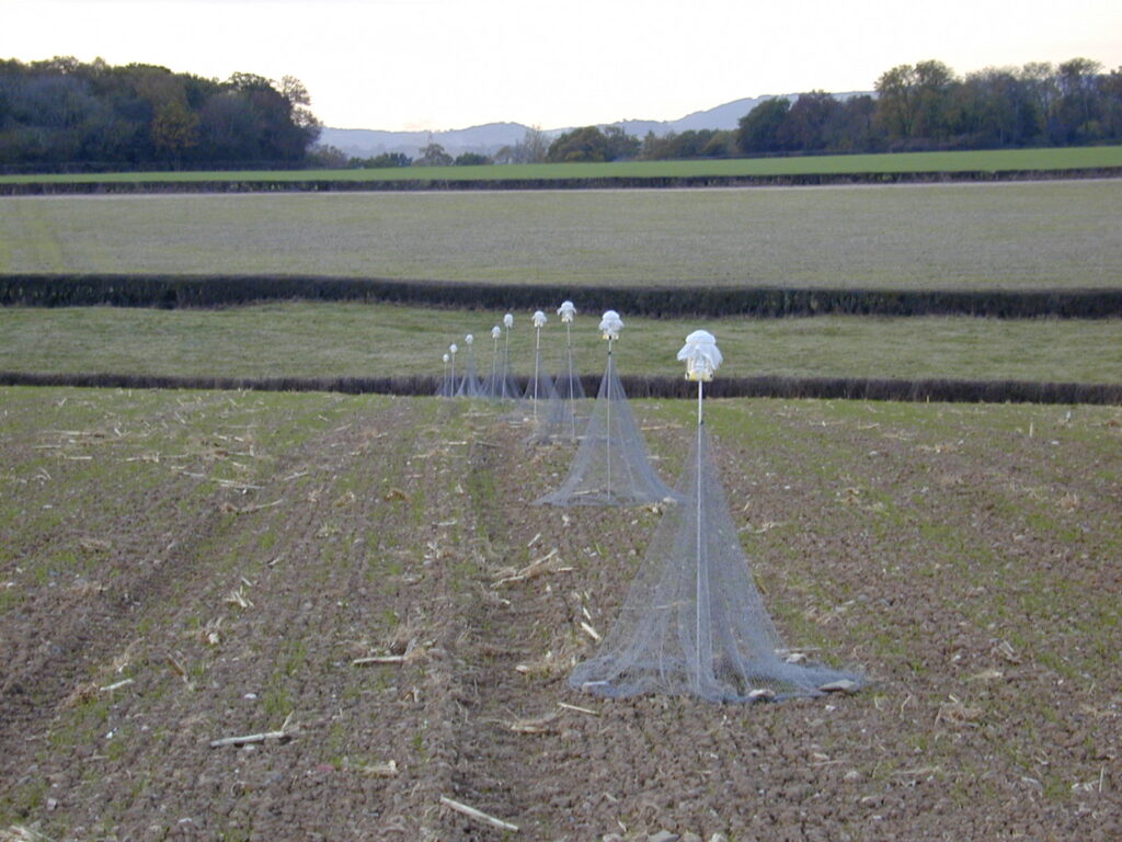 Ballooning traps